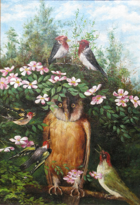 The wise owl by Theo van Hoytema