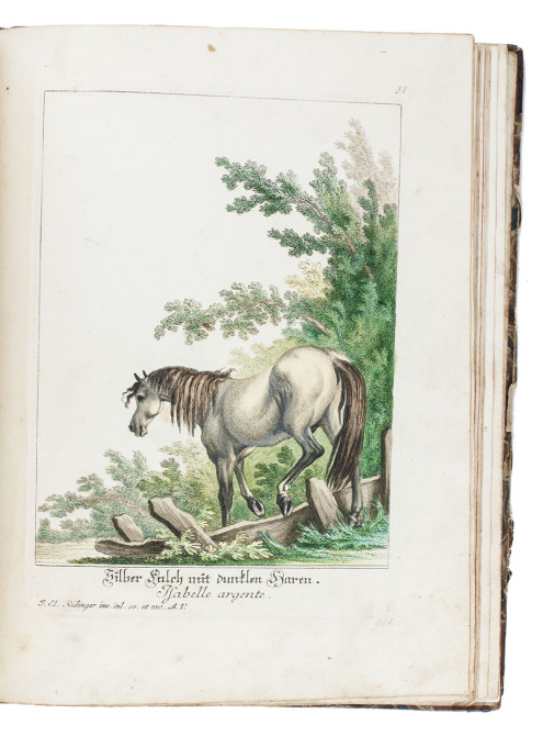  Horses in action: a great series of 50 horse plates, with the original drawing for the second plate by Johann Elias Ridinger