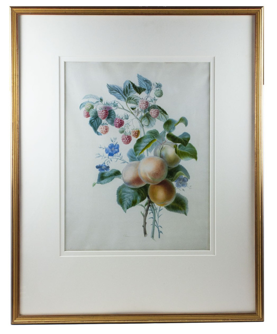 Watercolour with flowers and fruits on vellum by a pupil of Redouté by Claire Delarue