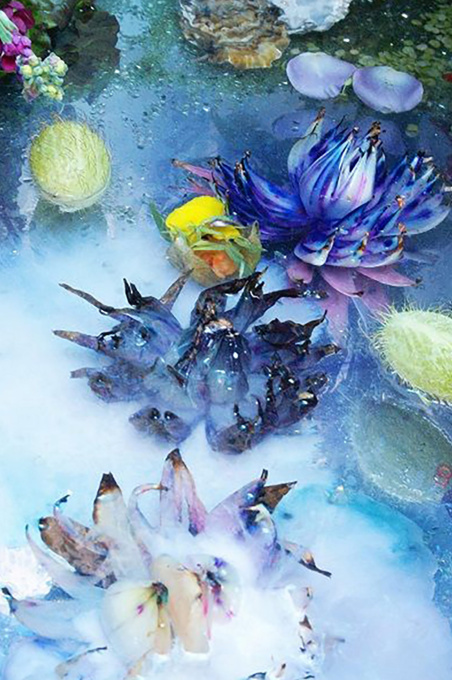 Waterlelies by Caroline Mulders