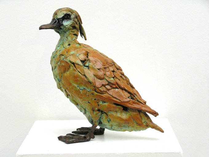 Tufted duck by Jacqueline van der Laan