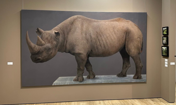 Rhino by Bart Koning