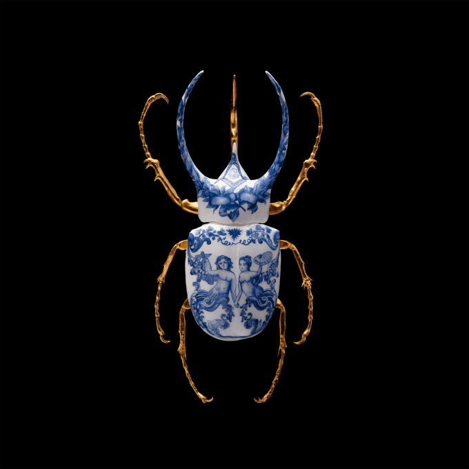 Anatomia Blue Heritage - Atlas Beetle Closed Wings by Samuel Dejong