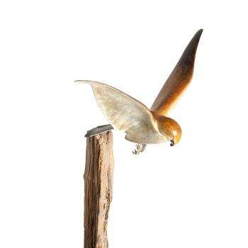 Falcon prey by Mark Dedrie