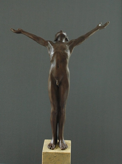 Icarus by Wim van der Kant