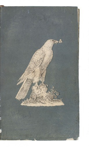 13th-century treatise on falconry, in the original Turkish with a German translation with two other early falconry treatises by Various artists