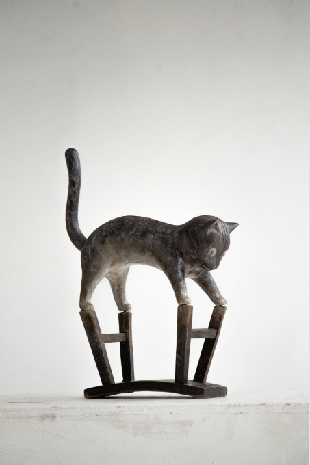 'Animal Master-Cat' by Ruo Zhang