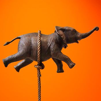 Flying elephant on long rope by Gillie and Marc