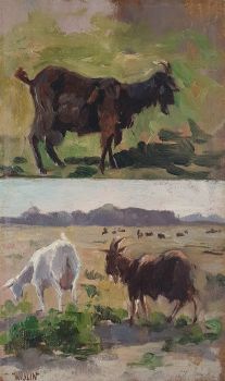 Sketches of goats – Schetsen van geiten by Charles Wislin