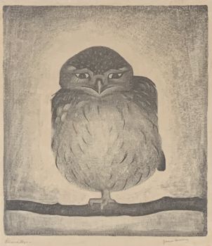 Little Owl by Jan Wittenberg