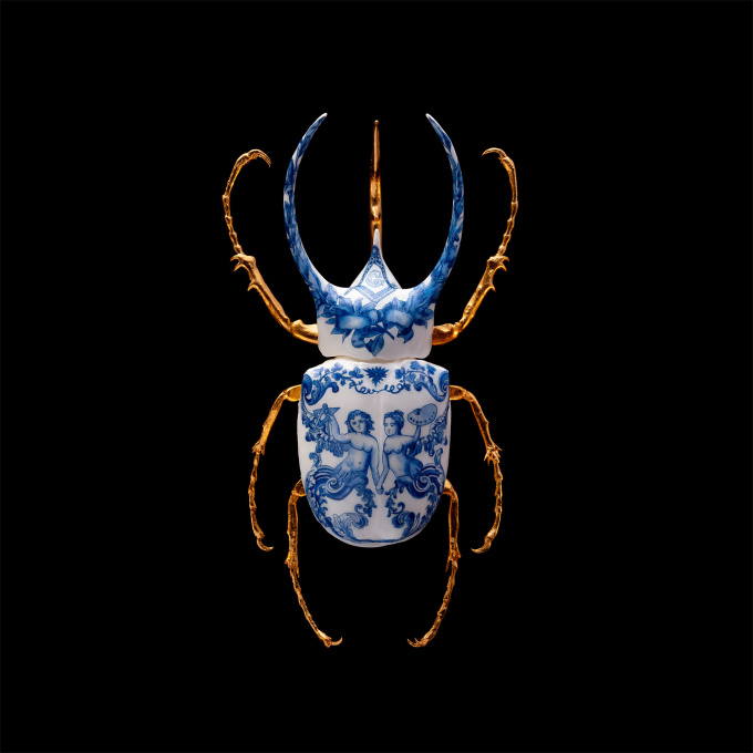 Anatomia Blue Heritage, Atlas Beetle Closed, by Samuel Dejong